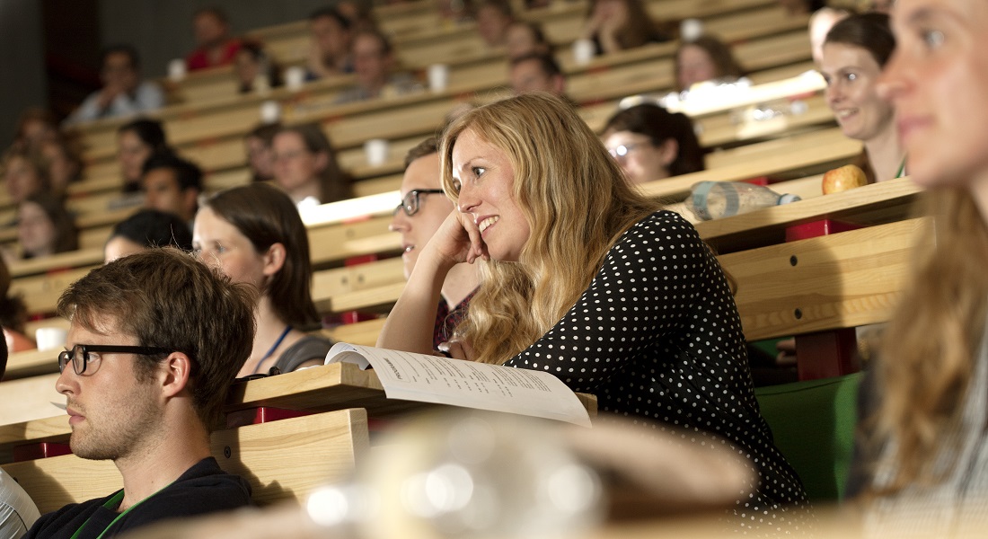 phd psychology denmark